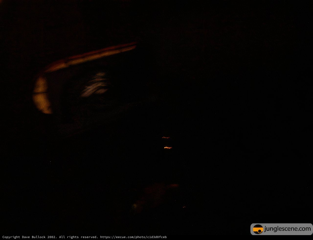 Into the Darkness