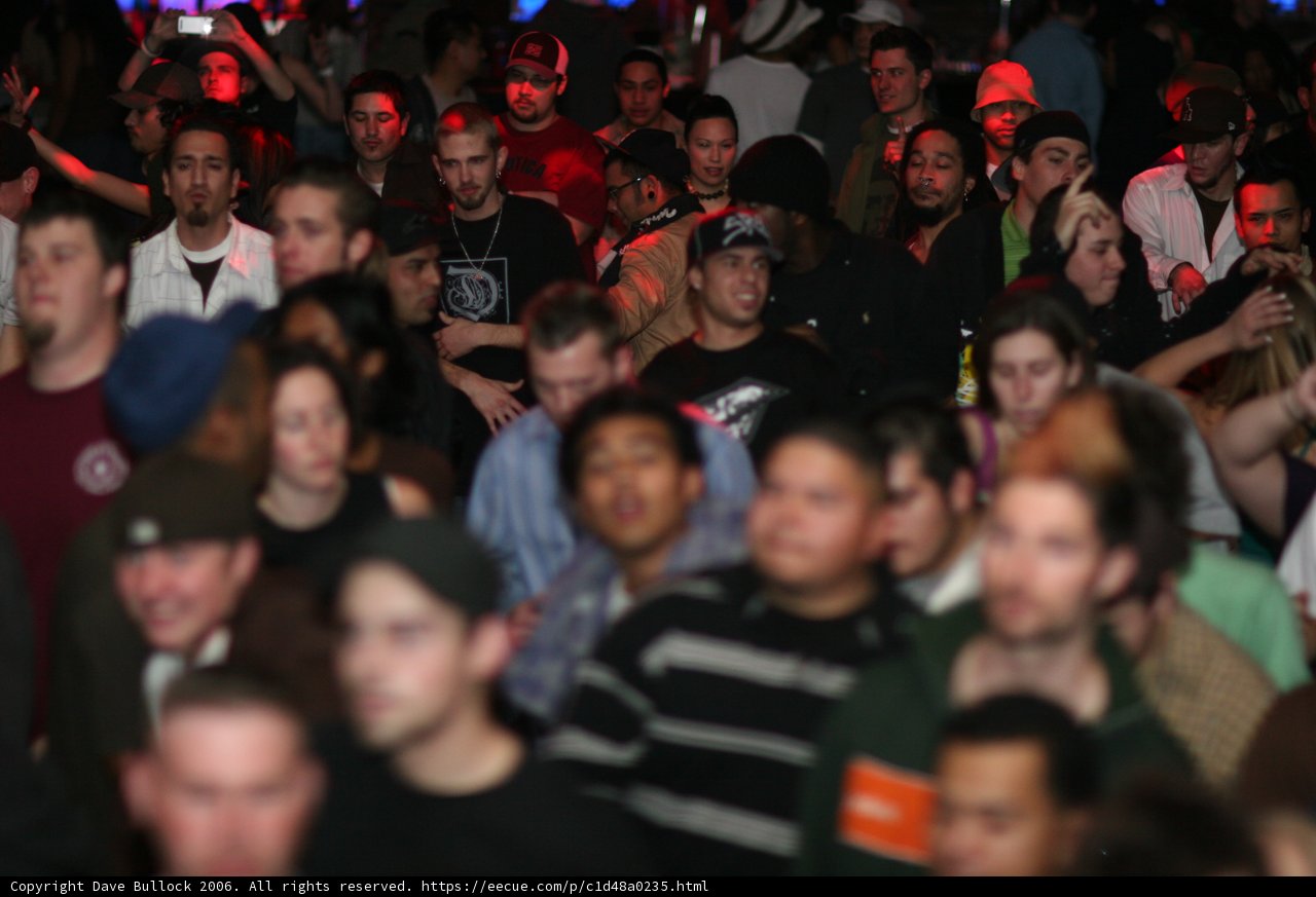 Bass Rush Party