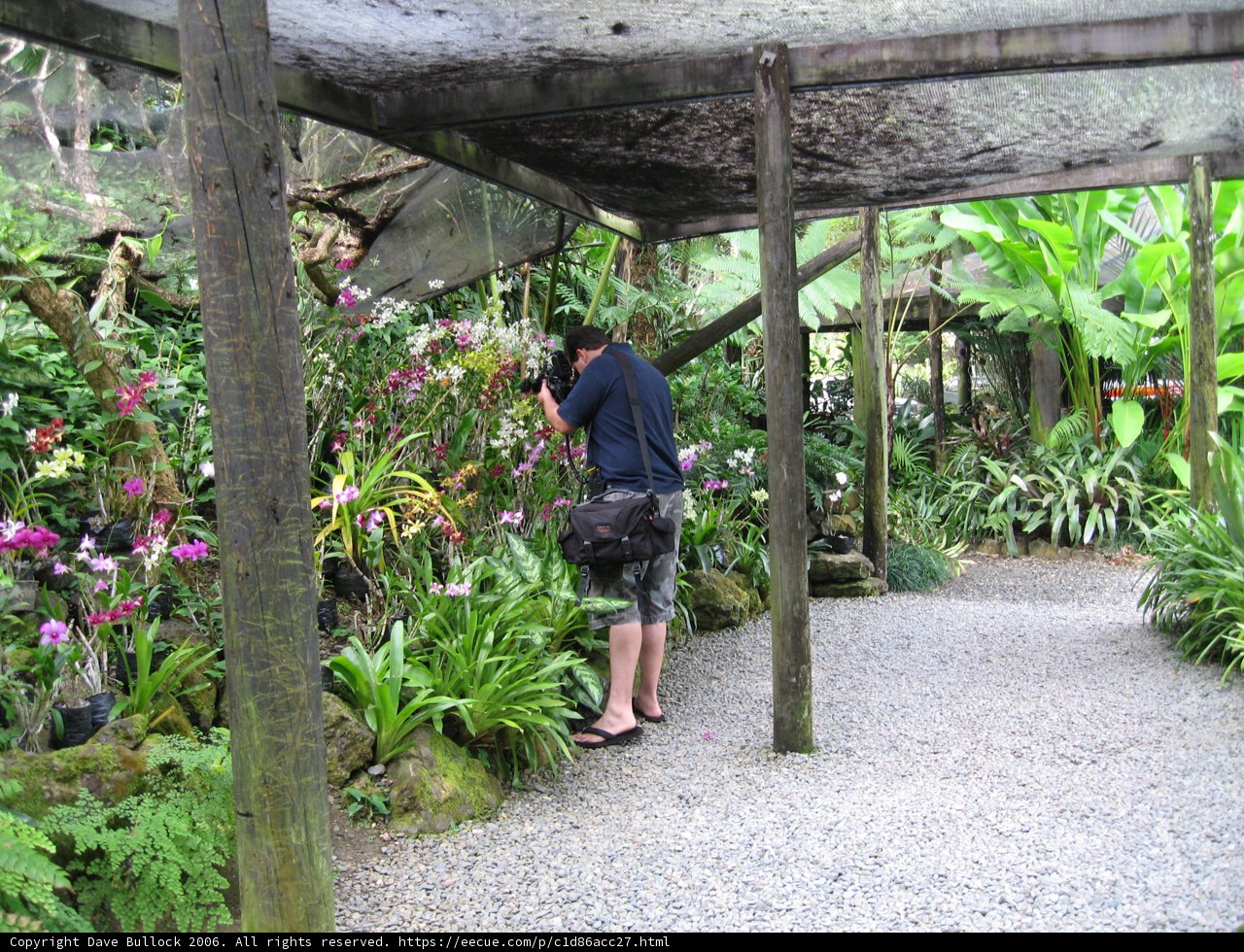 Capturing the Beauty of Garden Architecture