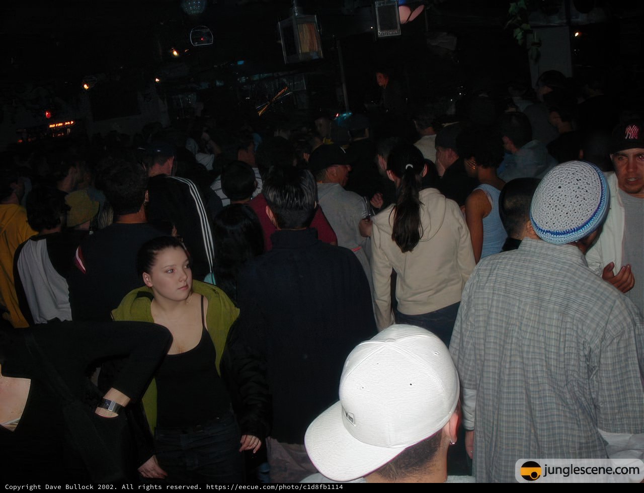 Nightclub Party Crowd