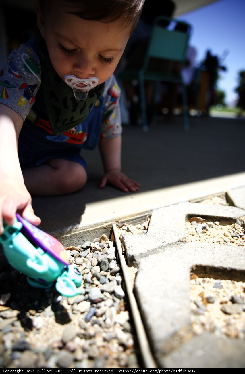 A Baby's Outdoor Adventure