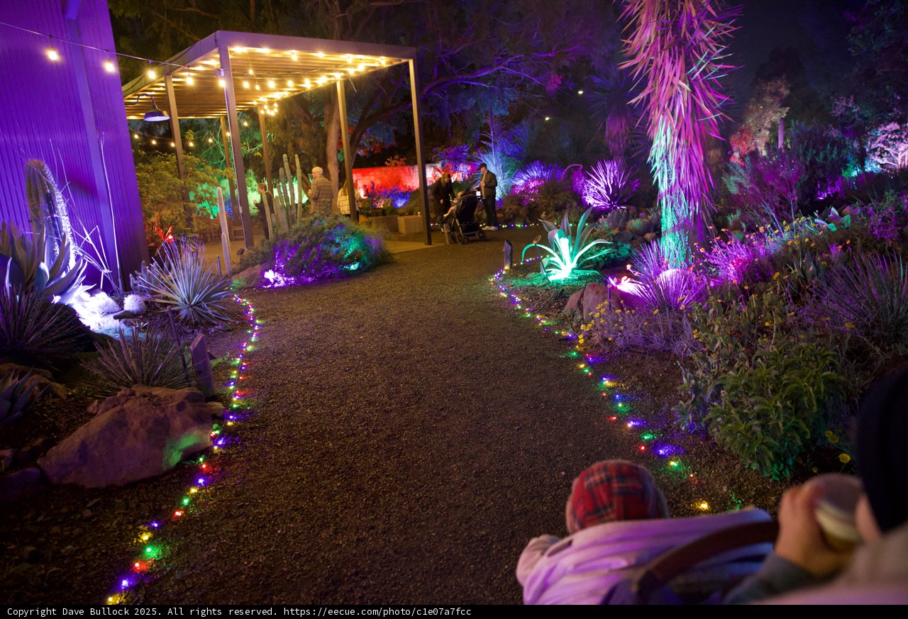 Enchanted Night at the Garden of D'Lights