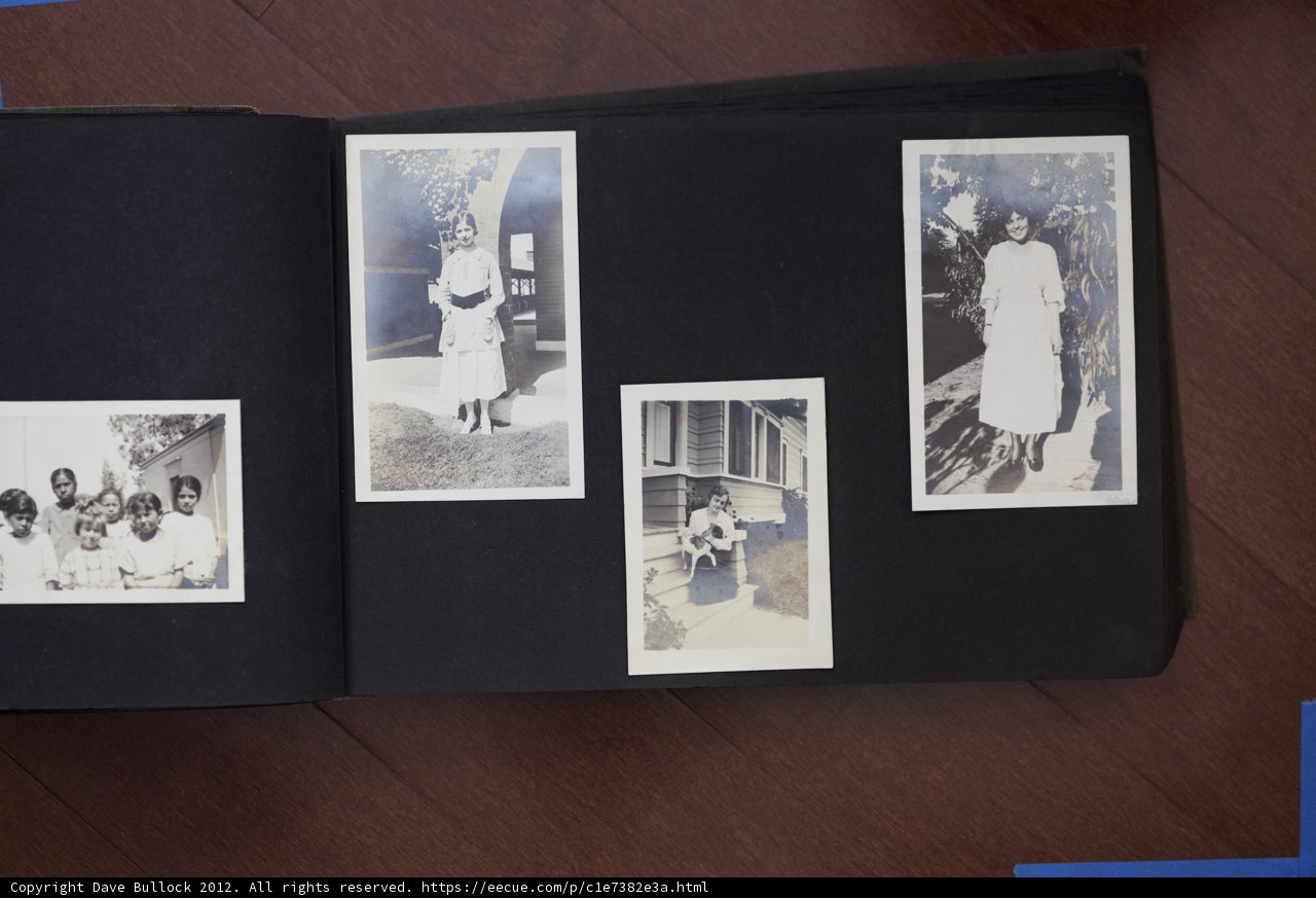 Family Photo Collage featuring Nella Larsen and Carola Toelle