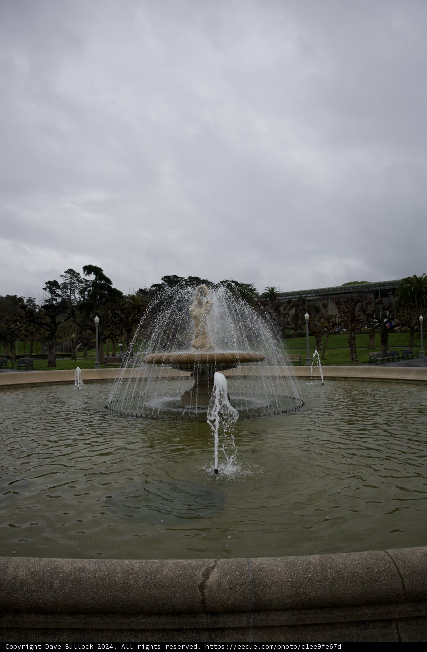 Tranquil Day at the California Academy of Sciences