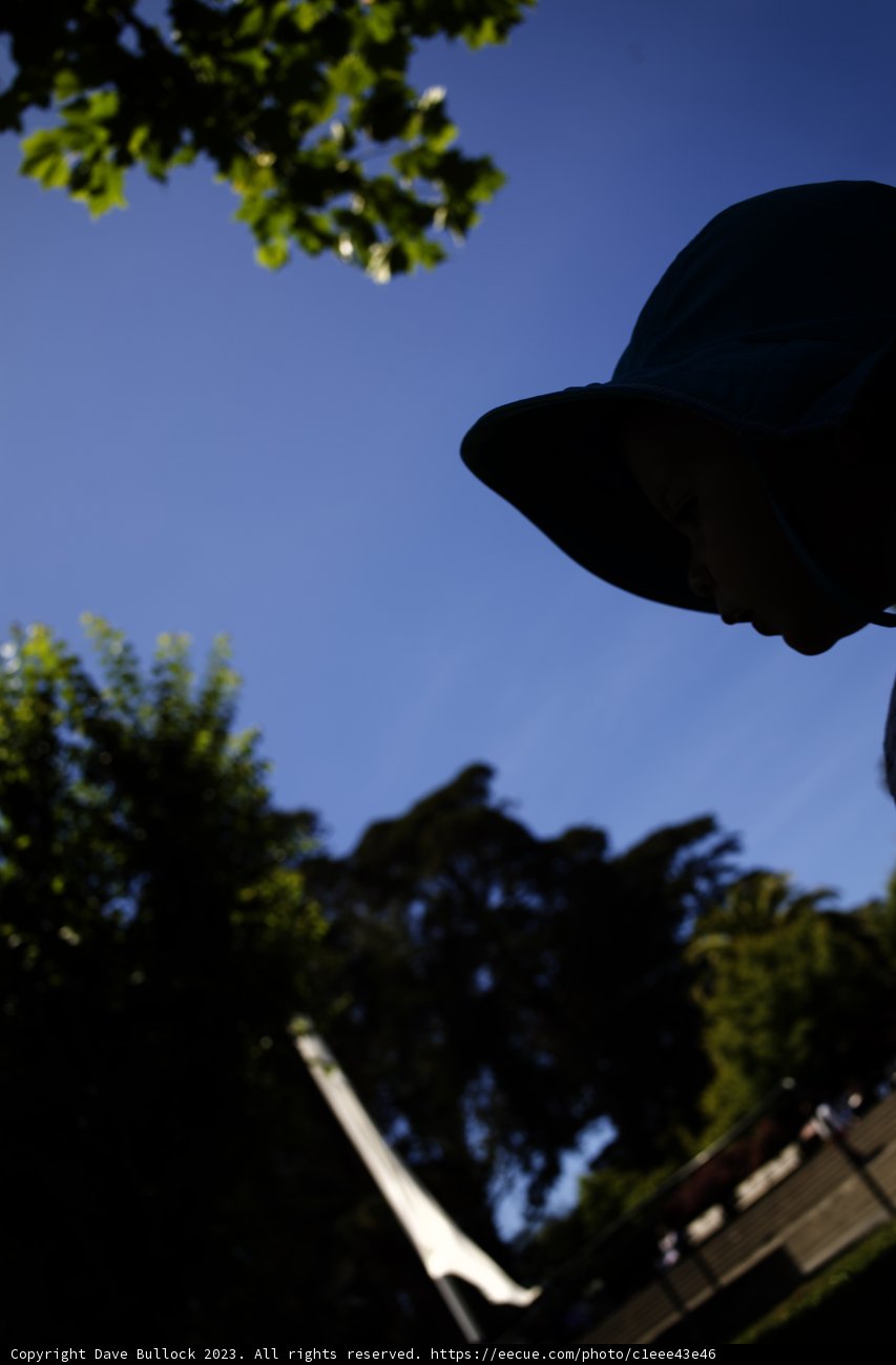 Skyward Dreams: A Summer's Day in California