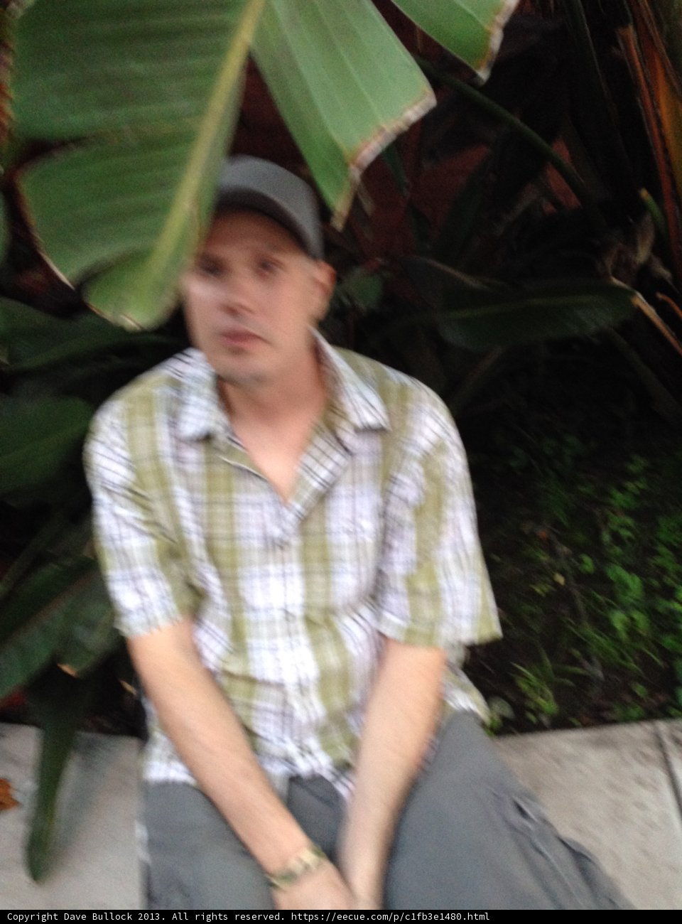 Pensive Man with a Banana Leaf