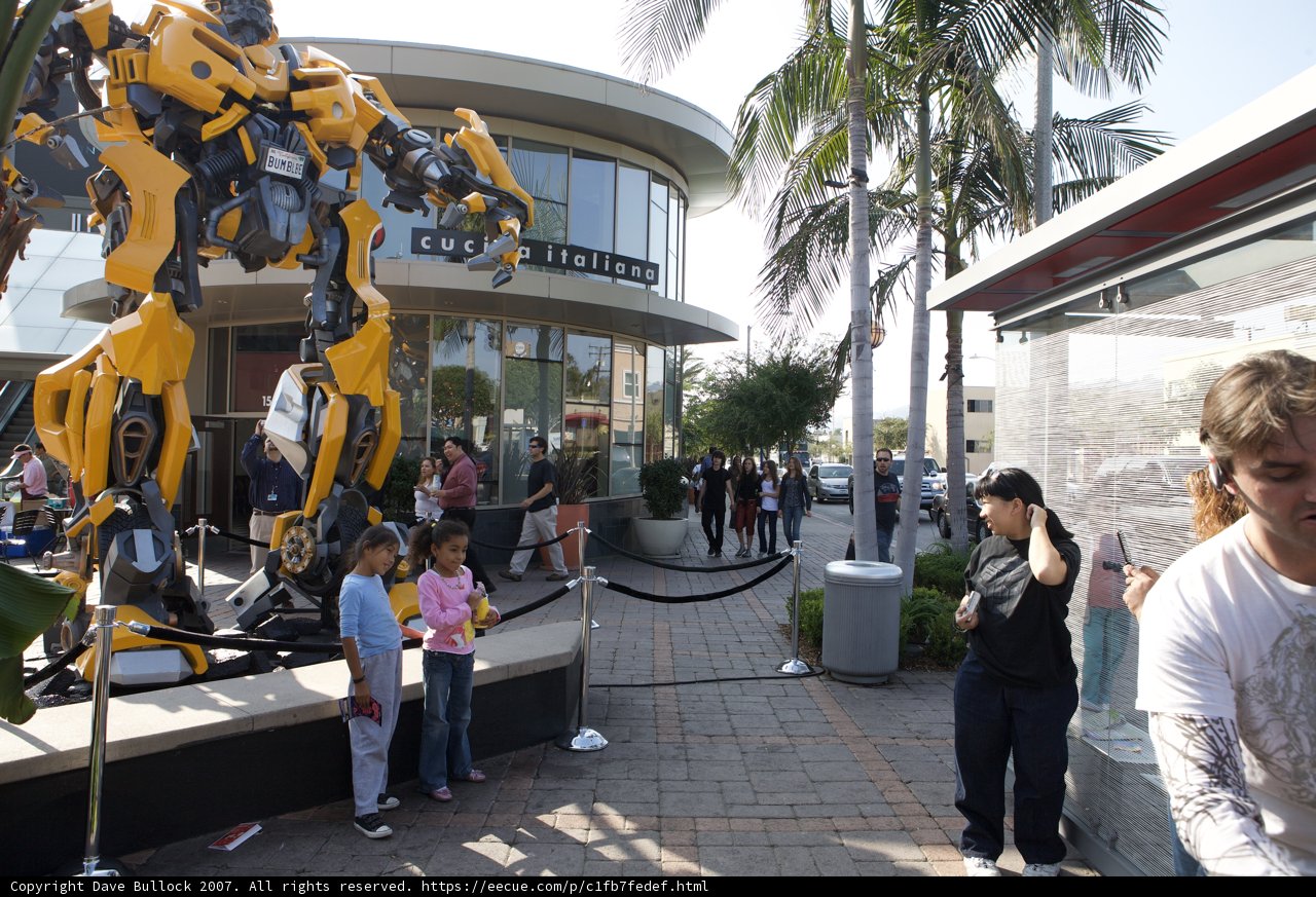Robot Among Palm Trees