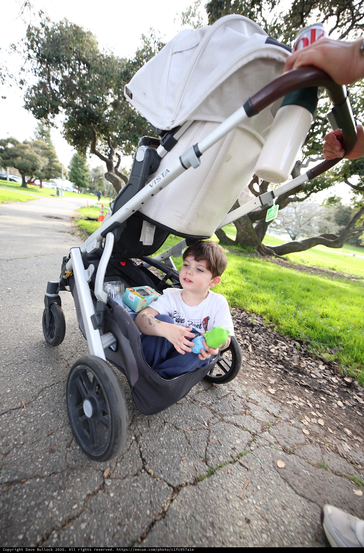 Young Boy in Stroller Enjoying Park Walk