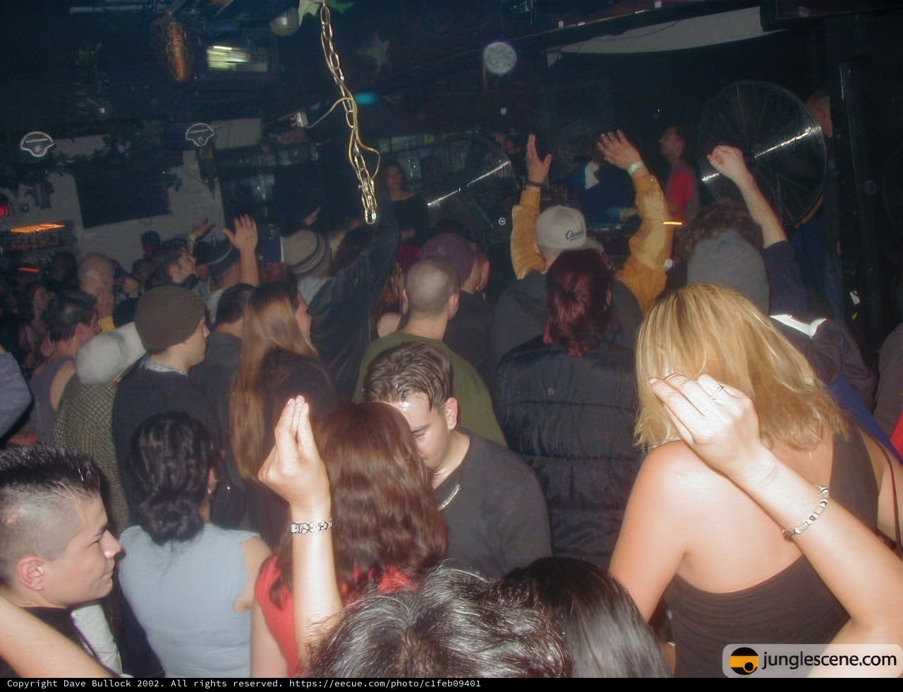 Nightclub Crowd Goes Wild