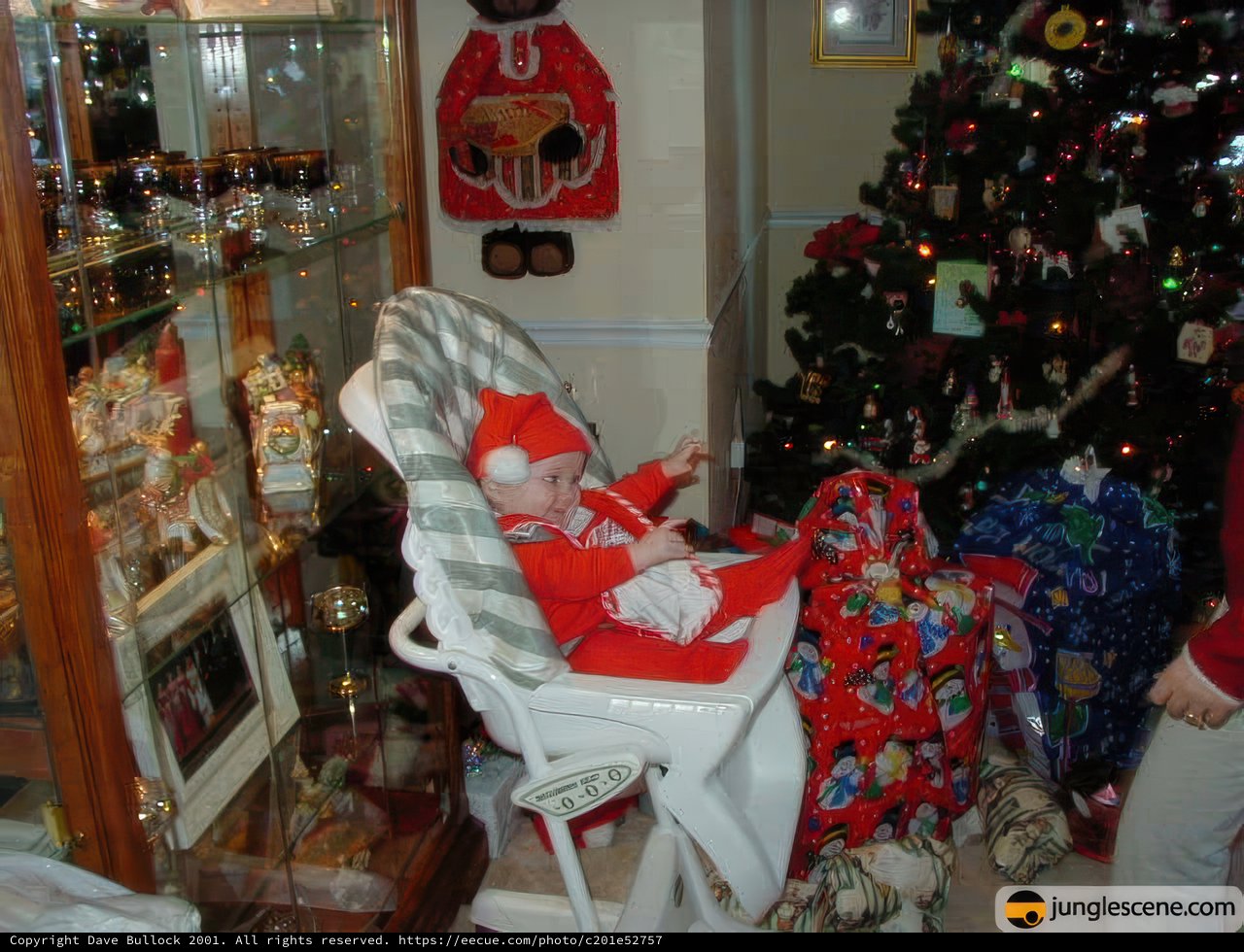 Baby's First Christmas