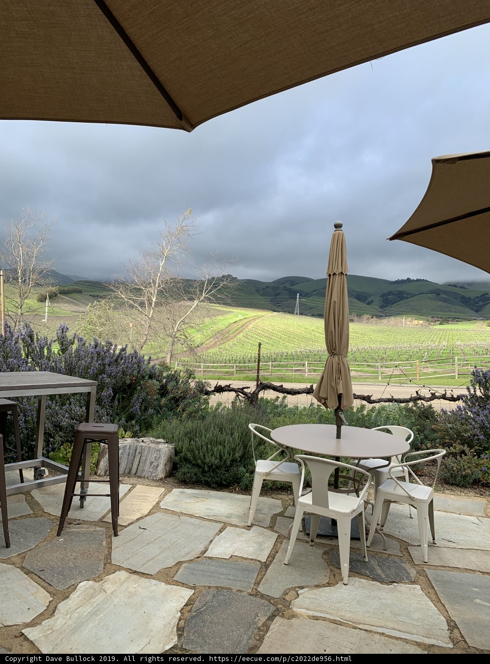Relaxing on a California Patio