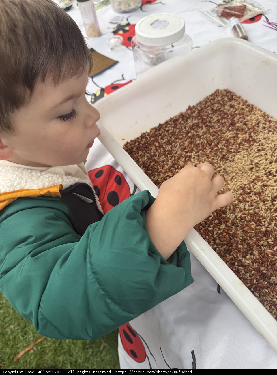 Curious Discoveries in the Park