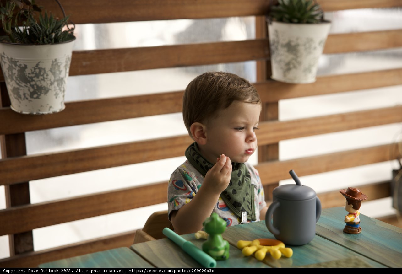 The Wonder of Play: Wesley's 5th Birthday Celebration