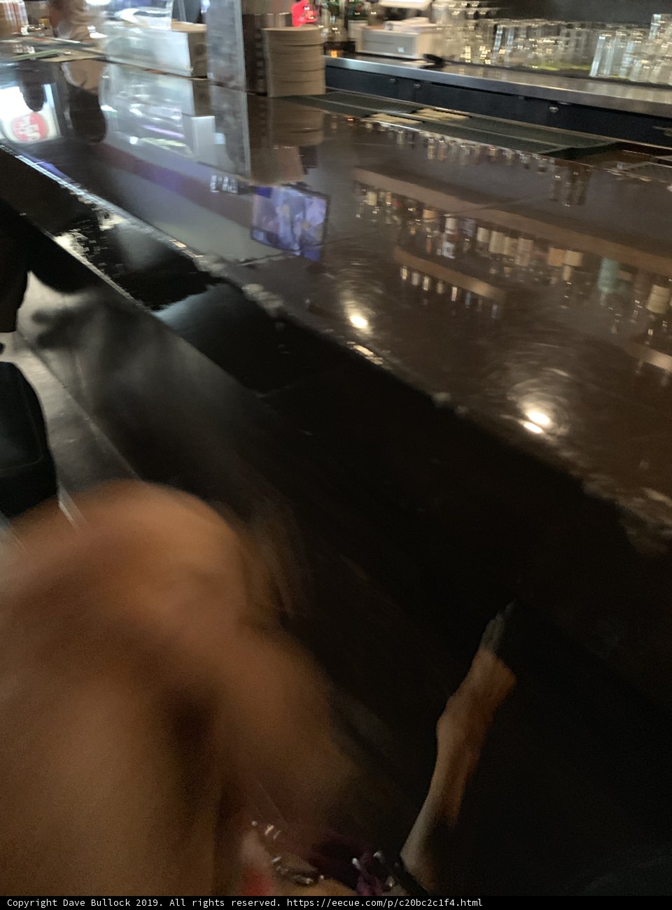 Furry Patron at the Pub