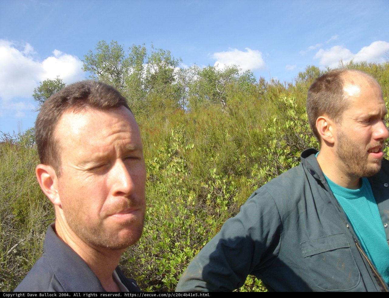 Two Men Standing in Front of a Bush