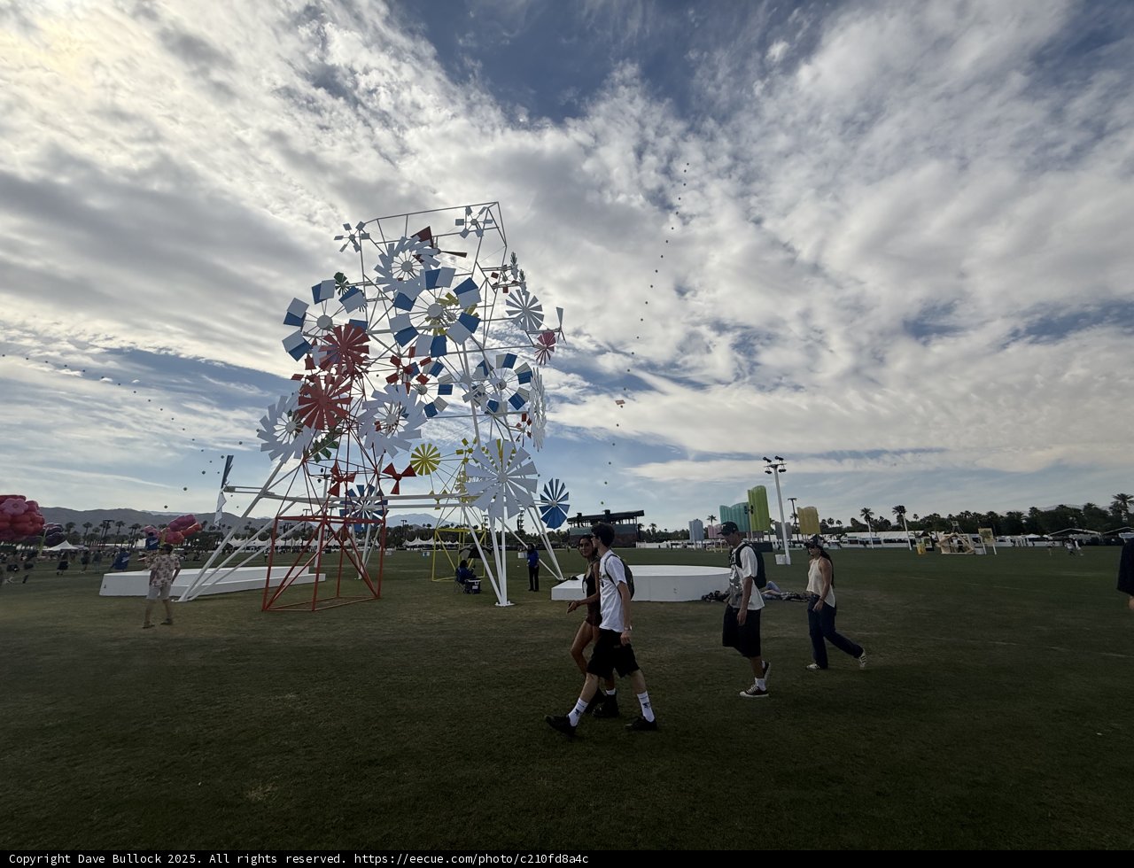 Whimsical Day at the Polo Field