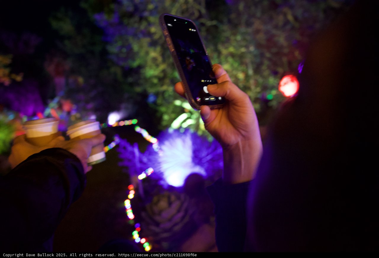Illuminated Moments