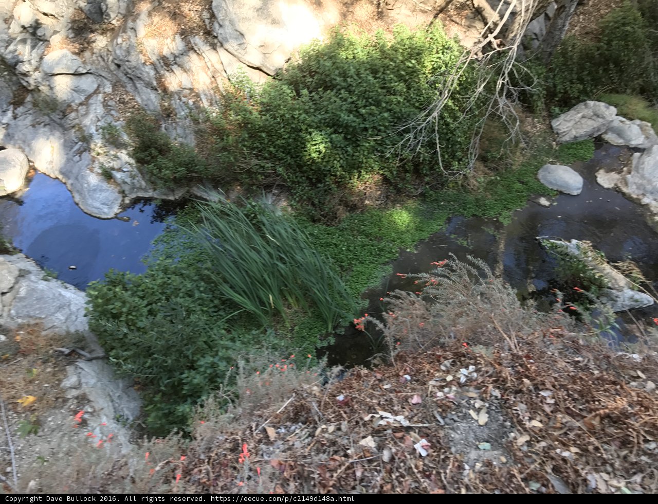 Serenity by the Stream