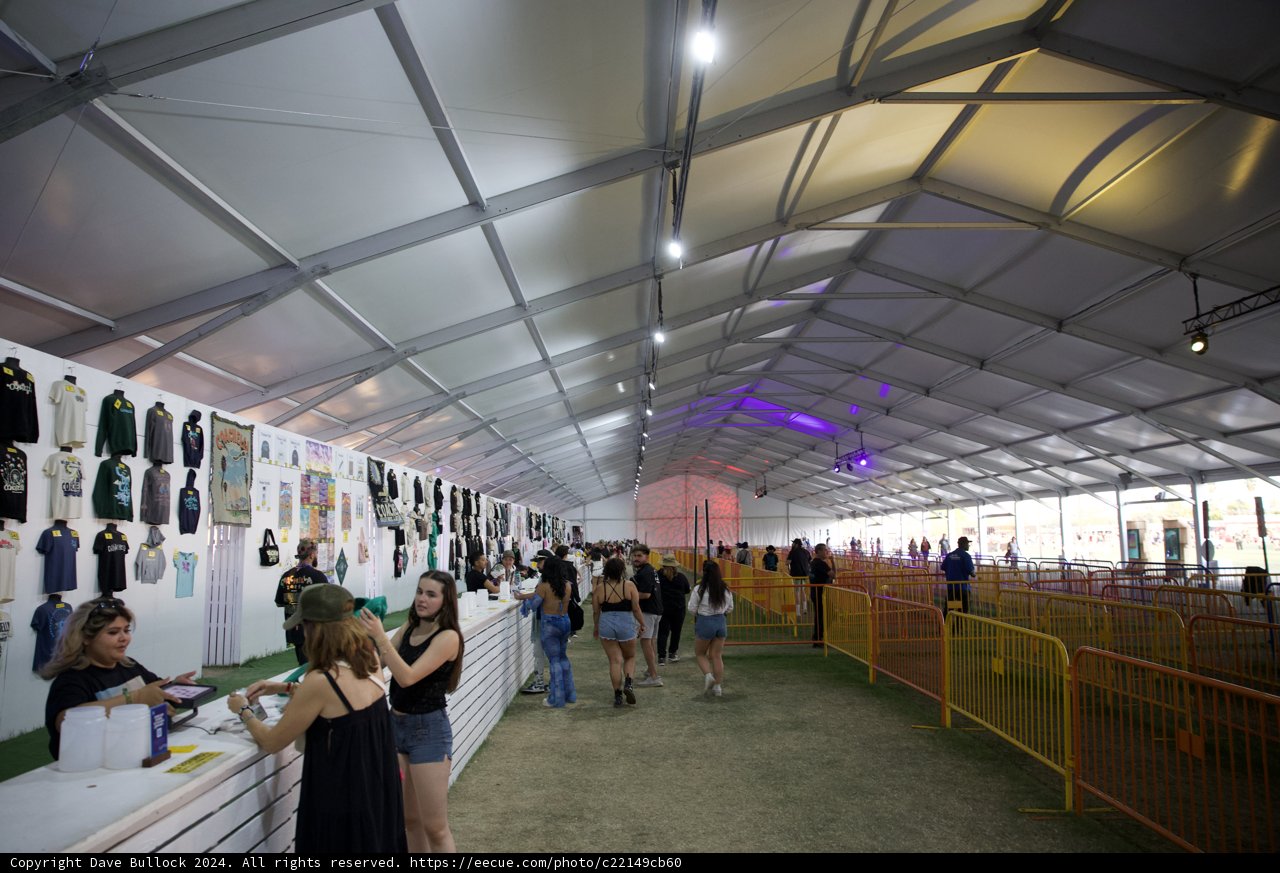 Capturing Festival Fashion and Art at Coachella 2024
