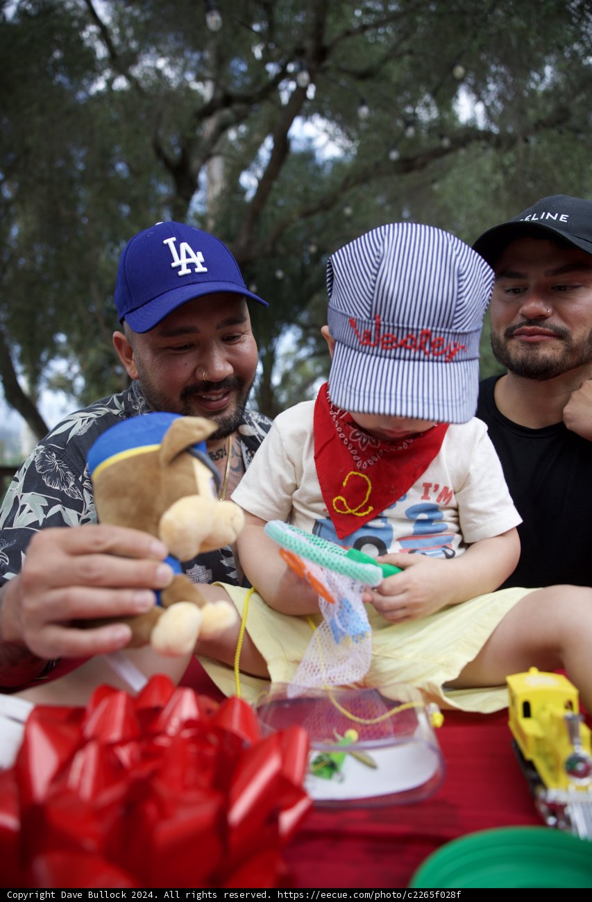 Joyful Celebrations in the Park