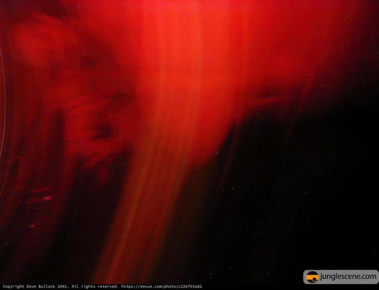 Aurora in the Night Sky