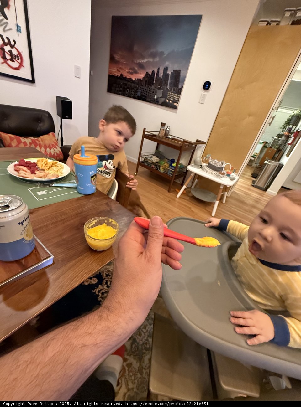 Family Dinner Moments