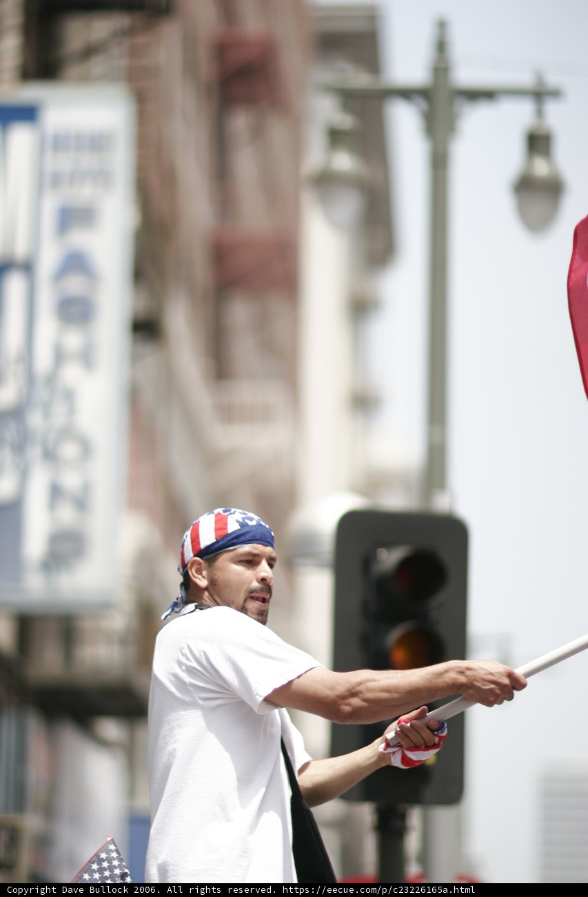 Proudly Holding the Flag