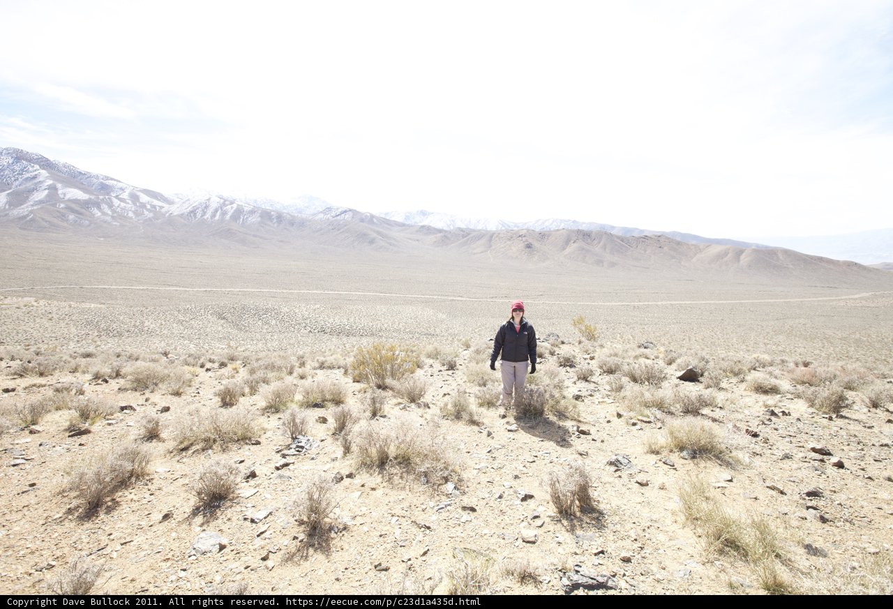 Standing Alone in the Wild