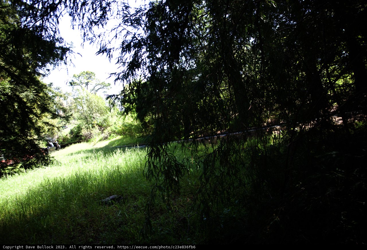 Serene Moments at Tilden Regional Park