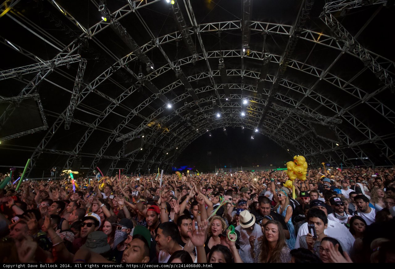 Rockin' with the Crowd