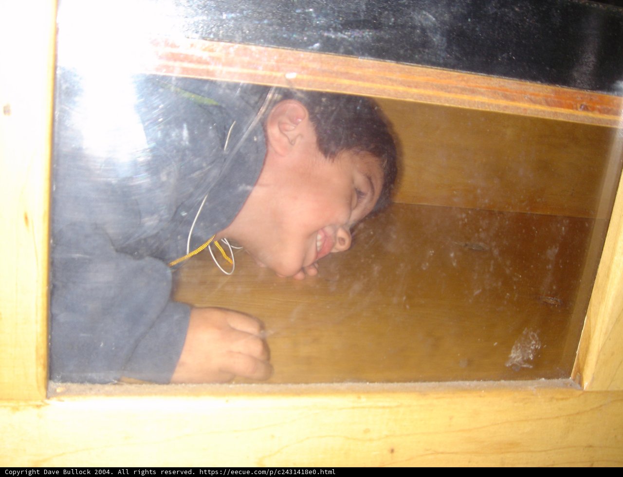 Window Gazing