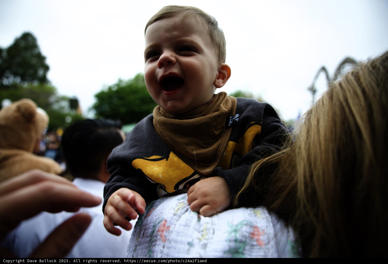 Joyful Moments at Disneyland