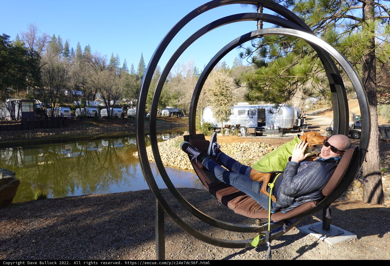 Swing Time with Man's Best Friend