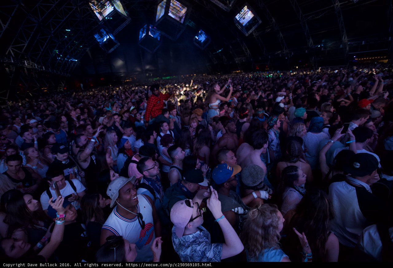 The Ultimate Coachella Crowd