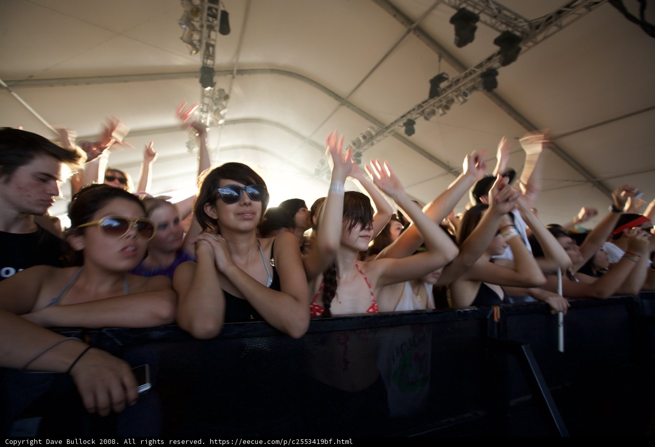 Energetic Crowd at Coachella Music Festival
