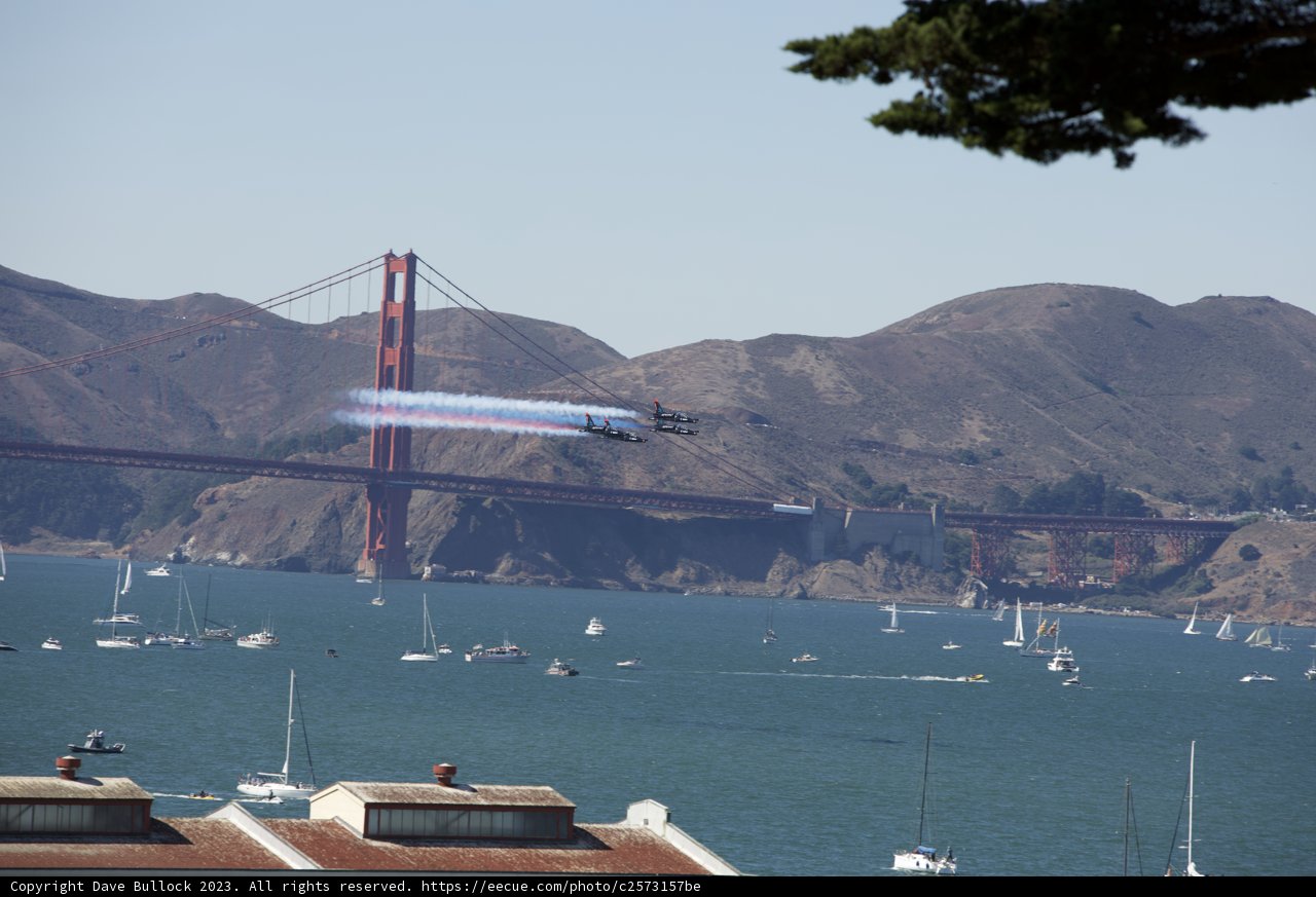 Majestic Flight over San Francisco Bay
