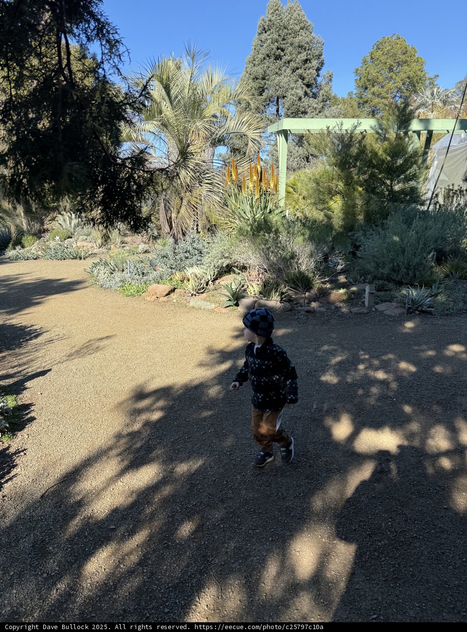 Nature's Playground