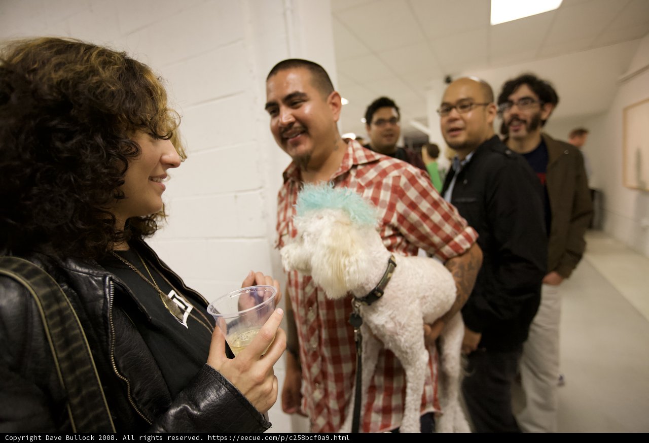 A Cozy Moment with the Poodle