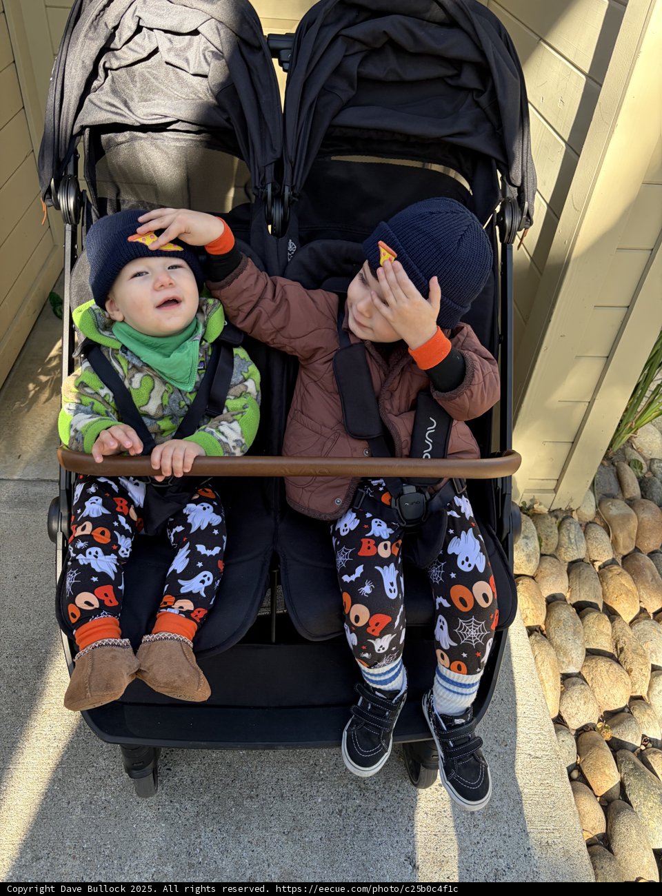 Playful Morning in Carmel