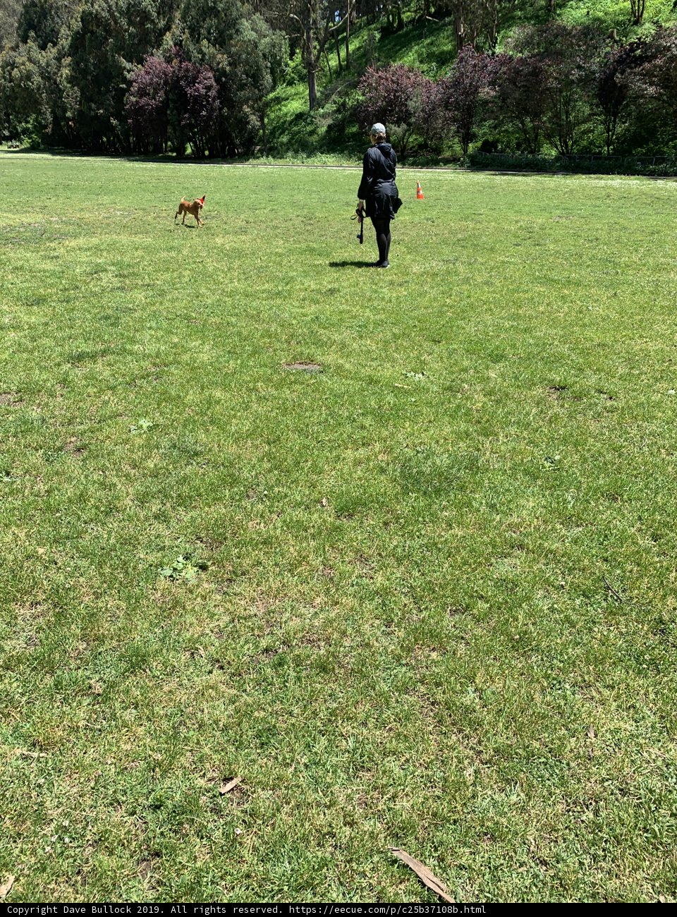 A Leisurely Walk in Pine Lake Park