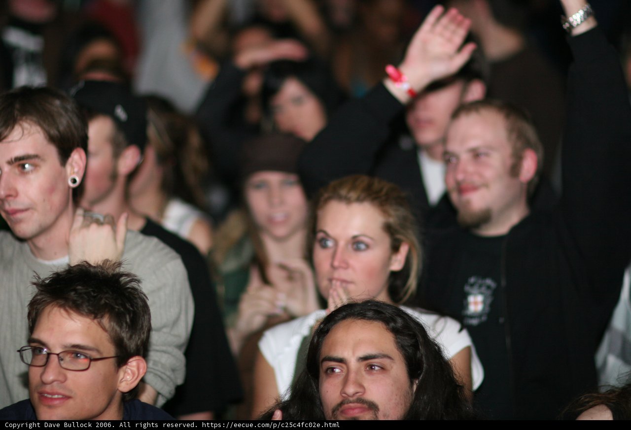 Bearded Man in the Crowd
