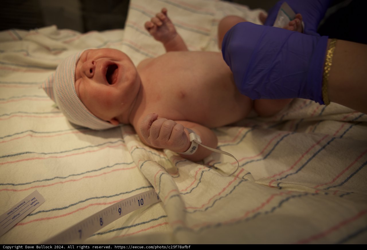 Welcome to the World, Leland