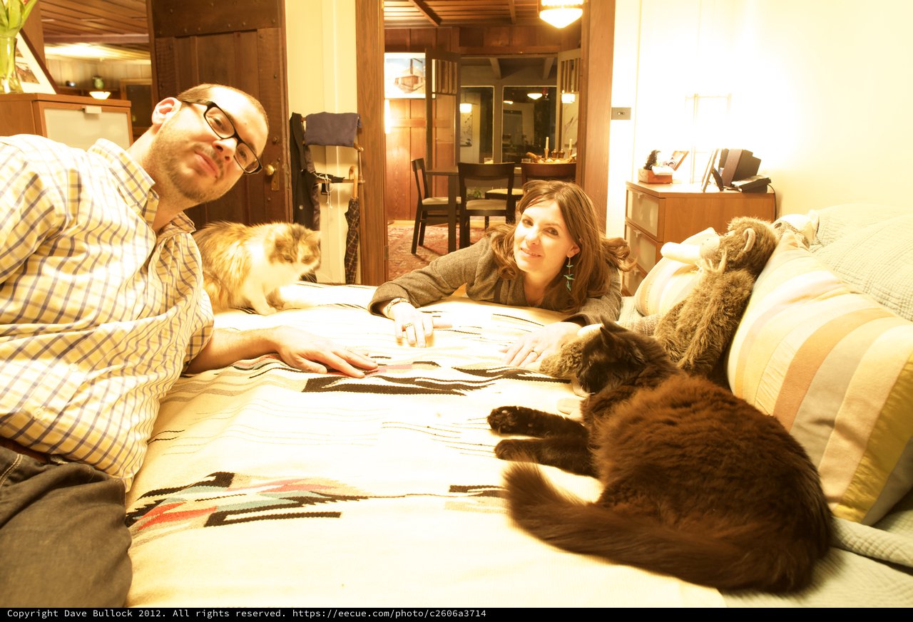 Couple Relaxing on Bed with Their Cats
