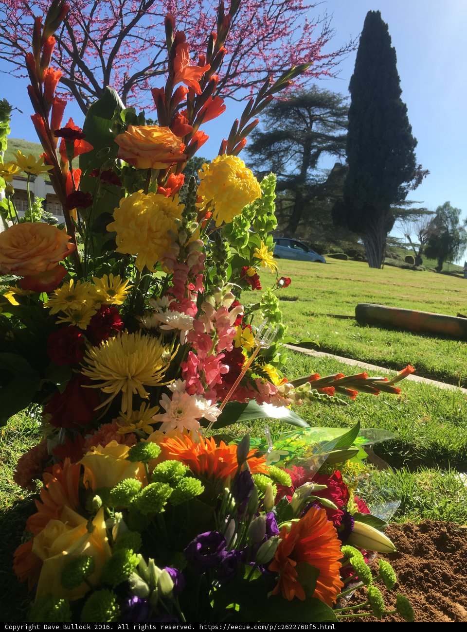 Floral Tribute on a Grave
