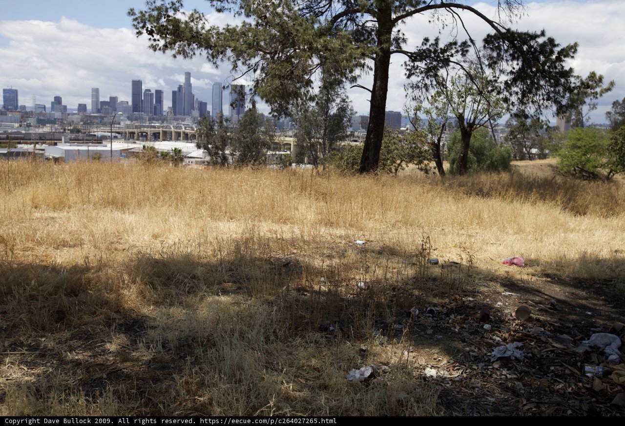 City in the Grass