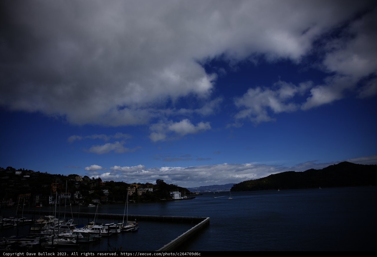 Serene Marina Afternoon in Tiburon