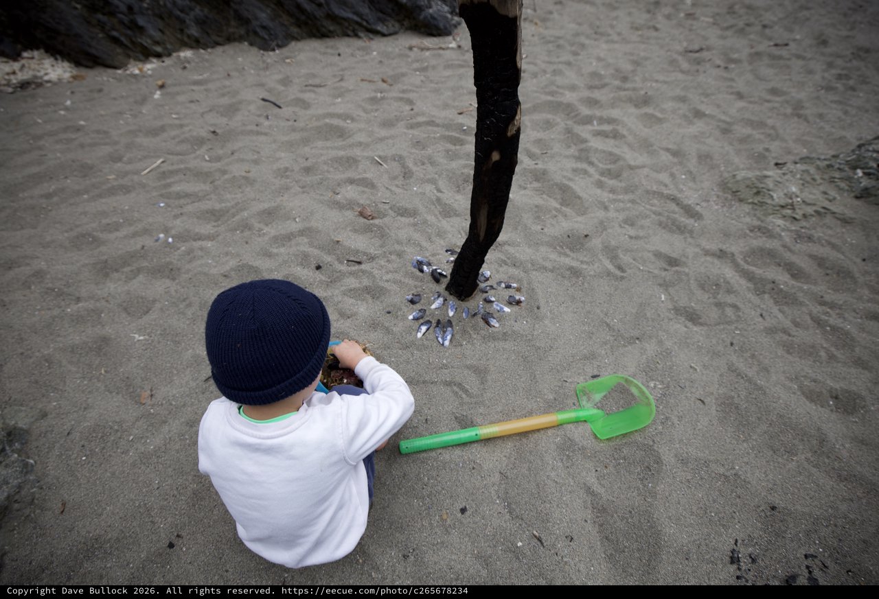 Child Explores Beach Finds Near Driftwood Post