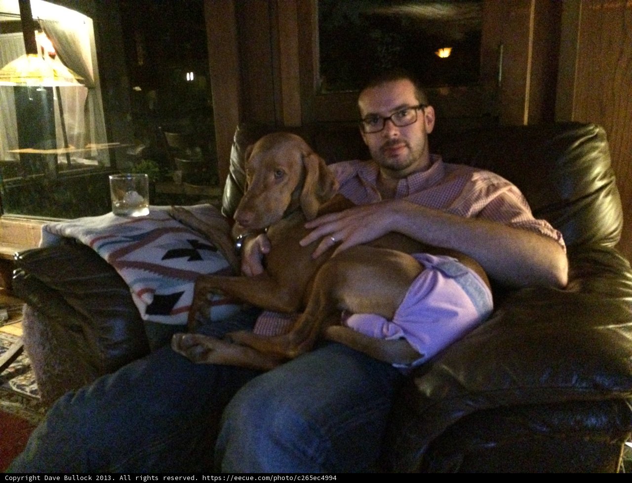 Couch Companions