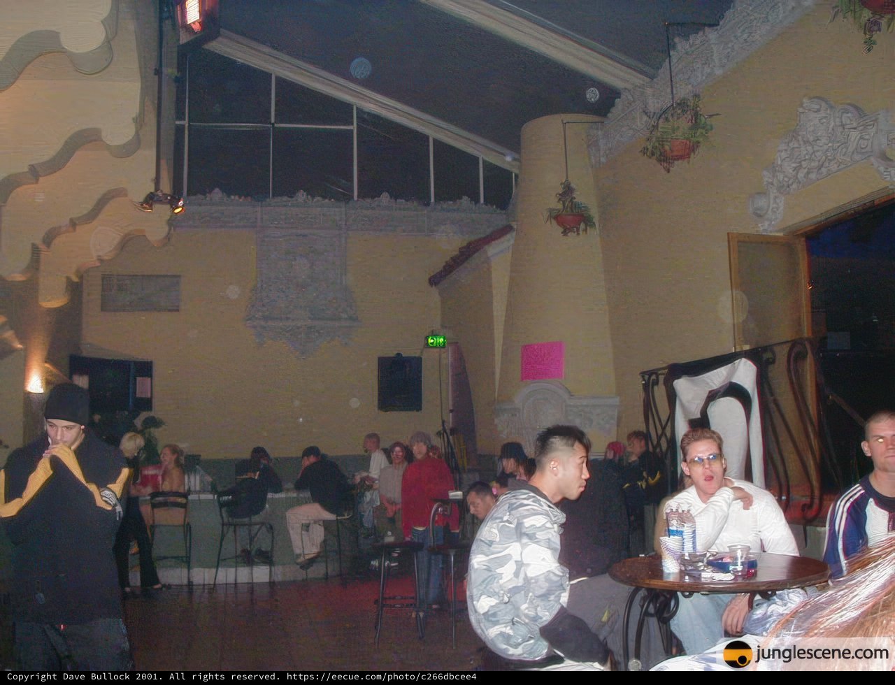 Night Out at the Club