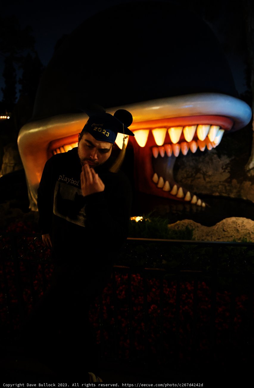 Encounter with the Giant Fish Head